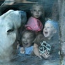 A group of children watches a polar bear at the zoo in Gelsenkirchen, Germany, Oct. 16, 2018. 