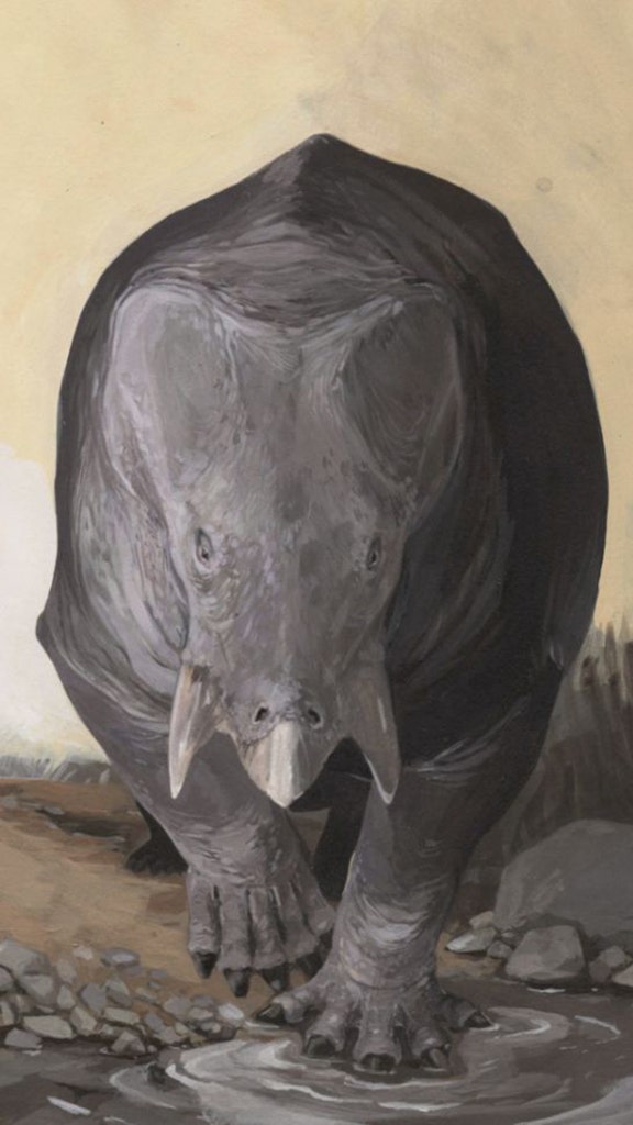 Image result for Enormous 20,000-pound 'rhino elephantâ€™ roamed the Triassic