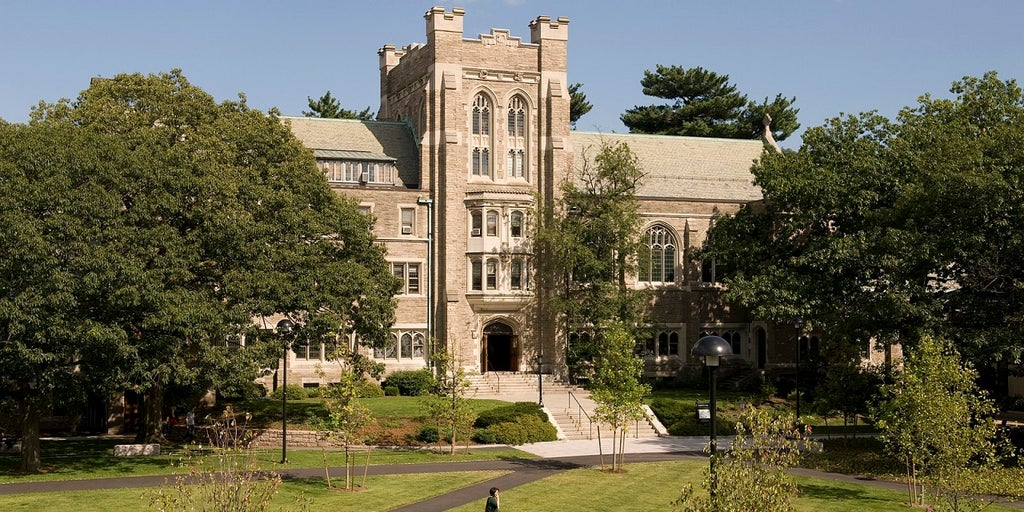 Harvard student says cutting down 100 year old oak tree akin to