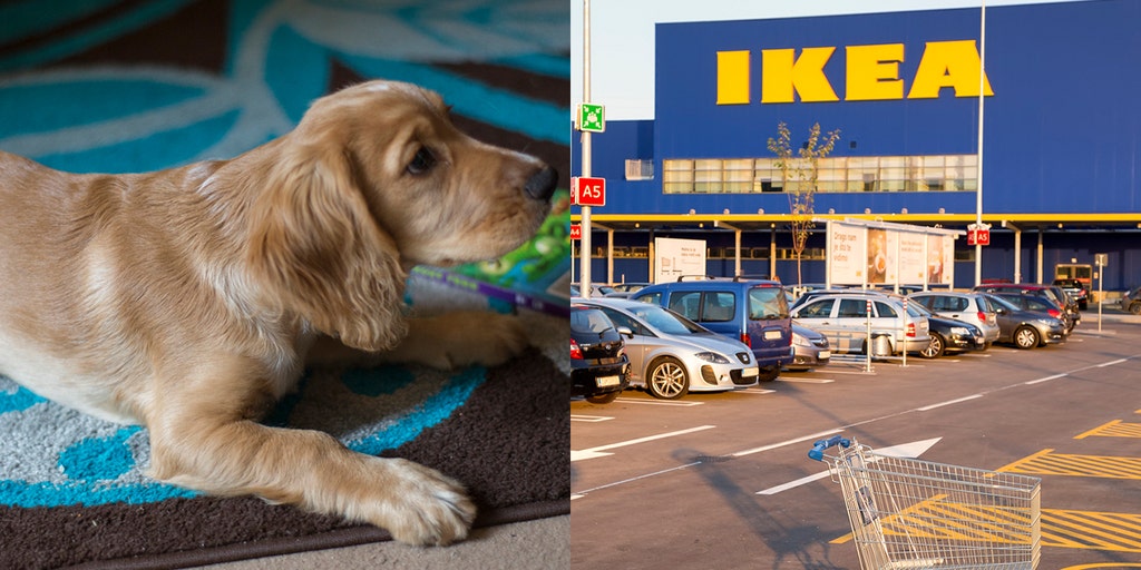 ikea dog parking
