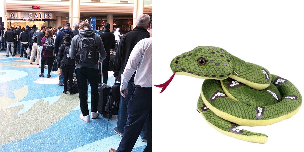 Snaked Boy Bag in Lime Green – SNAKED