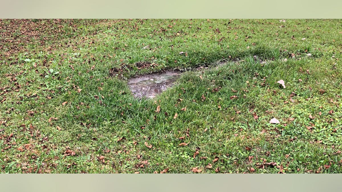 Raw sewage in residential yard, Lowndes County, AL.