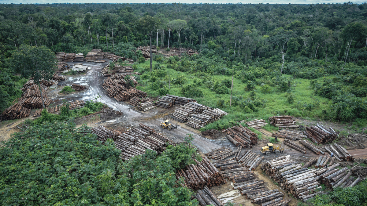 This May 8, 2018 photo released by the Brazilian Environmental and Renewable Natural Resources Institute (Ibama) shows an illegally deforested area on Pirititi indigenous lands as Ibama agents inspect Roraima state in Brazil's Amazon basin. (Felipe Werneck/Ibama via AP)