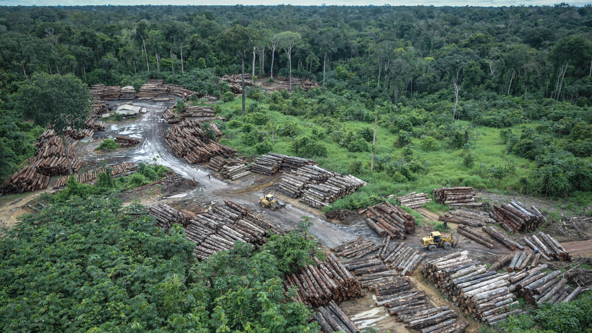 This photo released by the Brazilian Environmental and Renewable Natural Resources Institute (Ibama) shows an illegally deforested area on Pirititi indigenous lands as Ibama agents inspect Roraima state in Brazil's Amazon basin.? (Felipe Werneck/Ibama via AP)