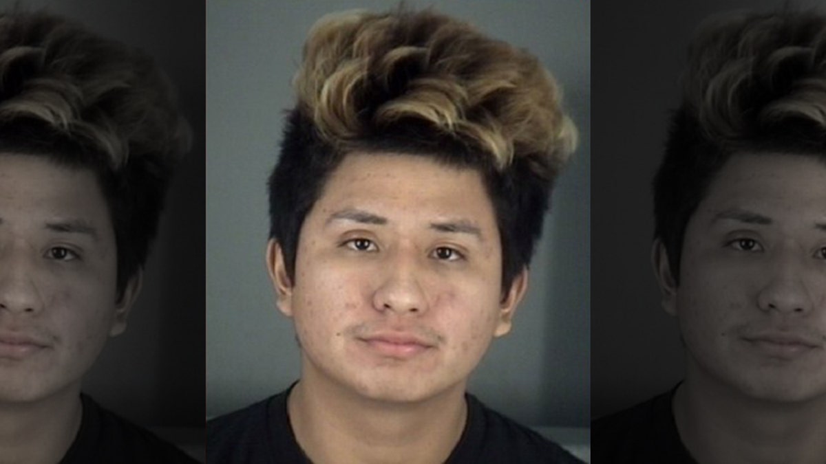  Daniel Fabian, 18, was arrested on Wednesday for allegedly raping a 15-year-old girl as he took a break from playing a video game.