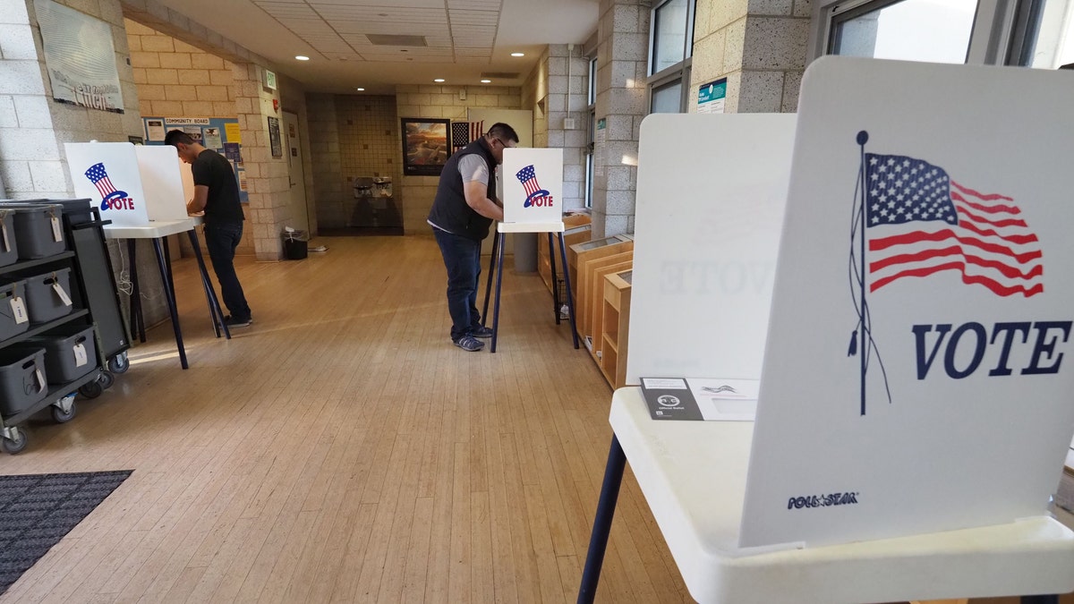 File photo - People complete their ballot during early voting for the mid-term elections at a public library in the Lake View Terrace neighborhood of Los Angeles, California on Nov. 4, 2018.