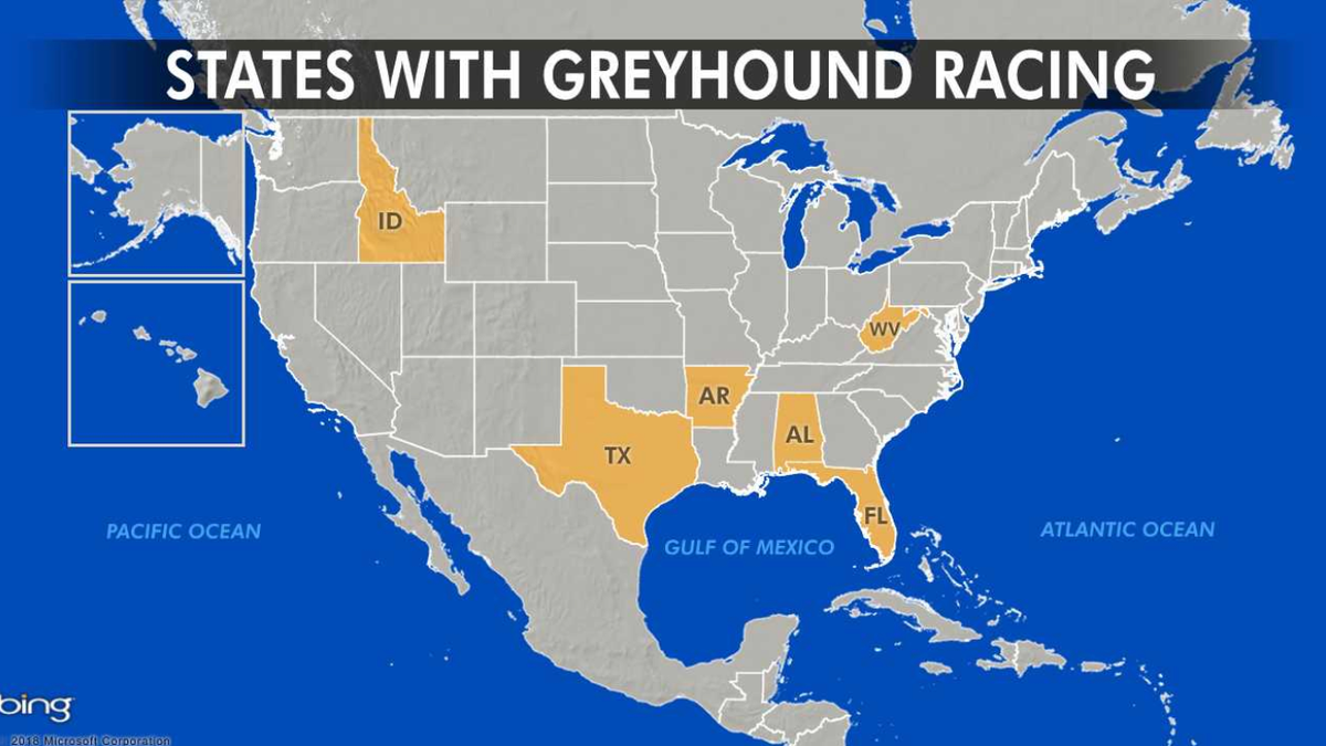 The Sunshine State has more racing greyhounds than any other and is home to 11 of the nation’s 17 active dog tracks in five other states: Alabama, Arkansas, Idaho, Texas and West Virginia.