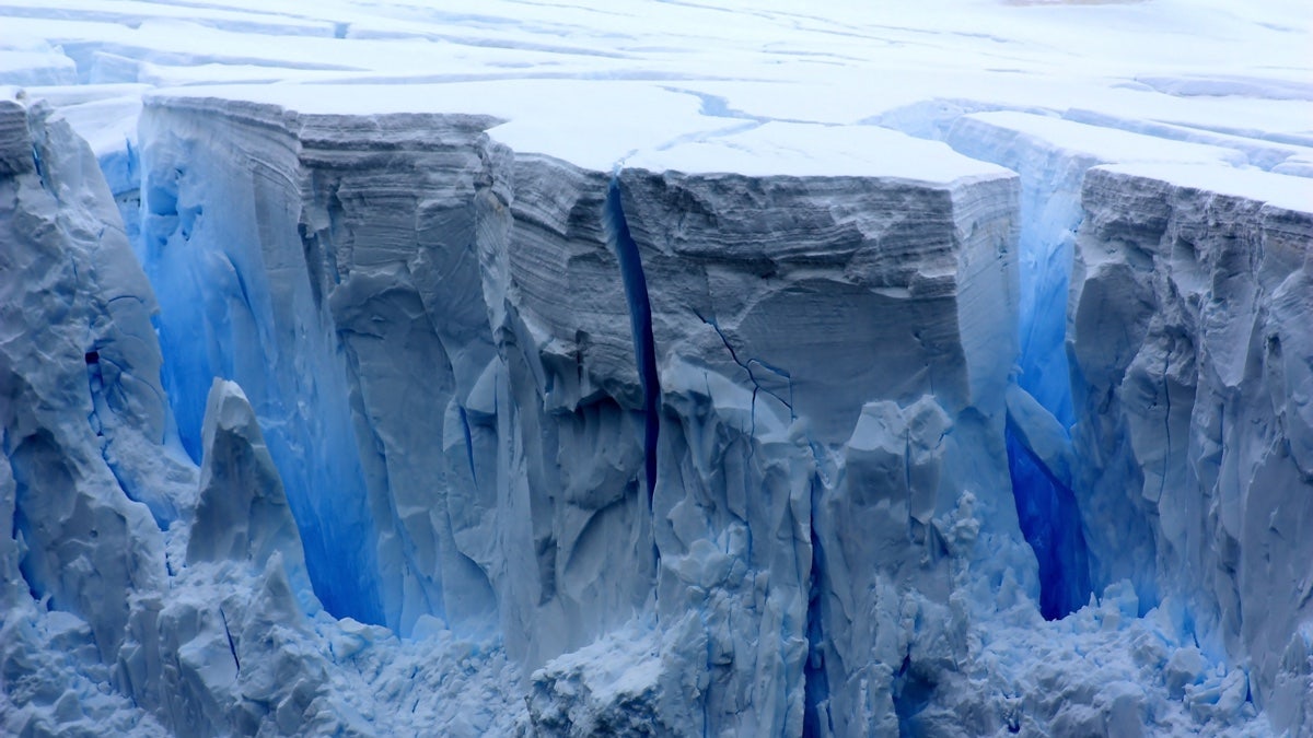 Artificial snow could save the Antarctic, researchers suggest – The New  Economy