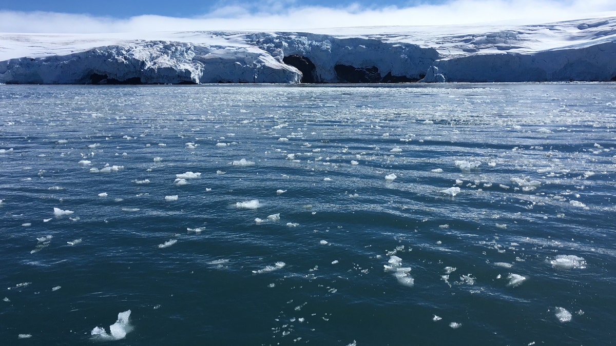 Blocks of ice drift on the water off the coast of Collins glacier on King George Island, Antarctica on February 1, 2018.