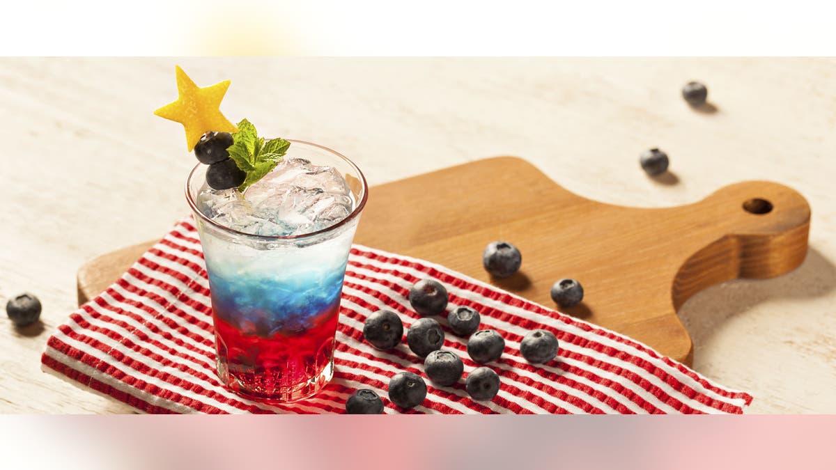 Citrus-Spangled Spritzer Lifestyle 1.jpg