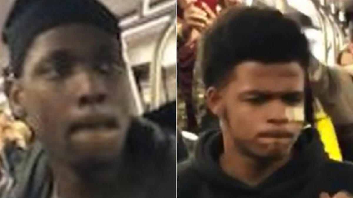 These two men are accused of shoving and threatening a blind man and his service dog on board a train in Washington, D.C.