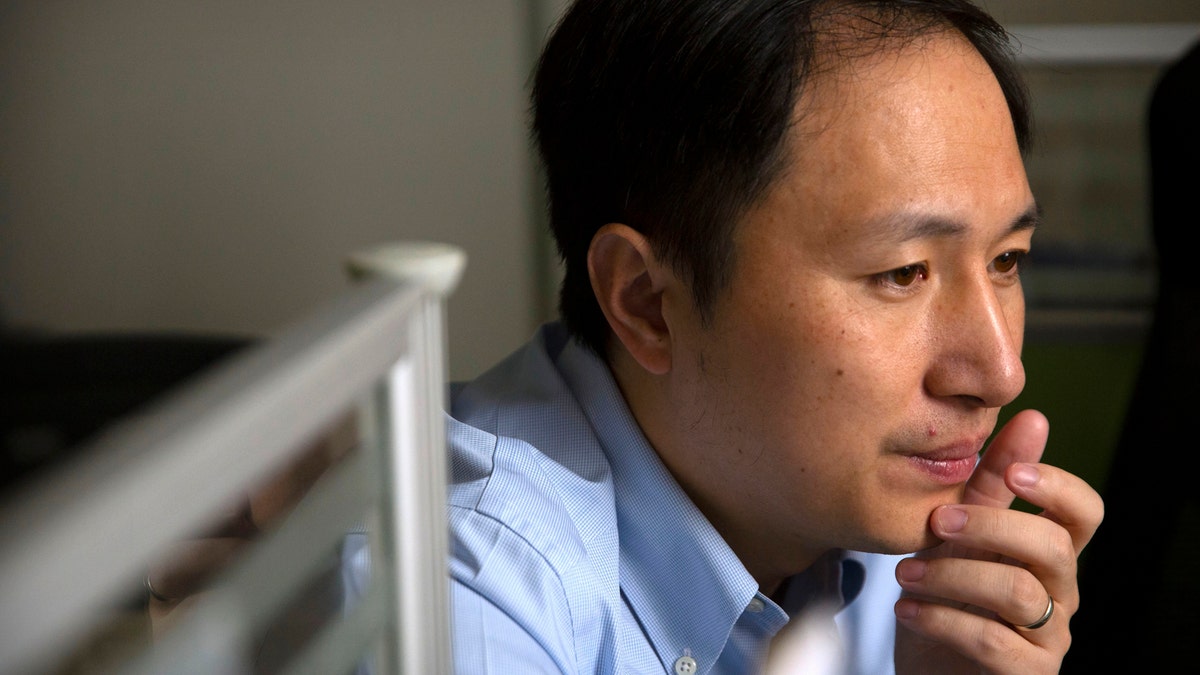 In this Oct. 10, 2018, photo, scientist He Jiankui looks at a computer screen while working at a lab in Shenzhen in southern China's Guandong province. China's government on Thursday, Nov. 29, 2018, ordered a halt to work by a medical team that claimed to have helped make the world's first gene-edited babies. (AP Photo/Mark Schiefelbein)