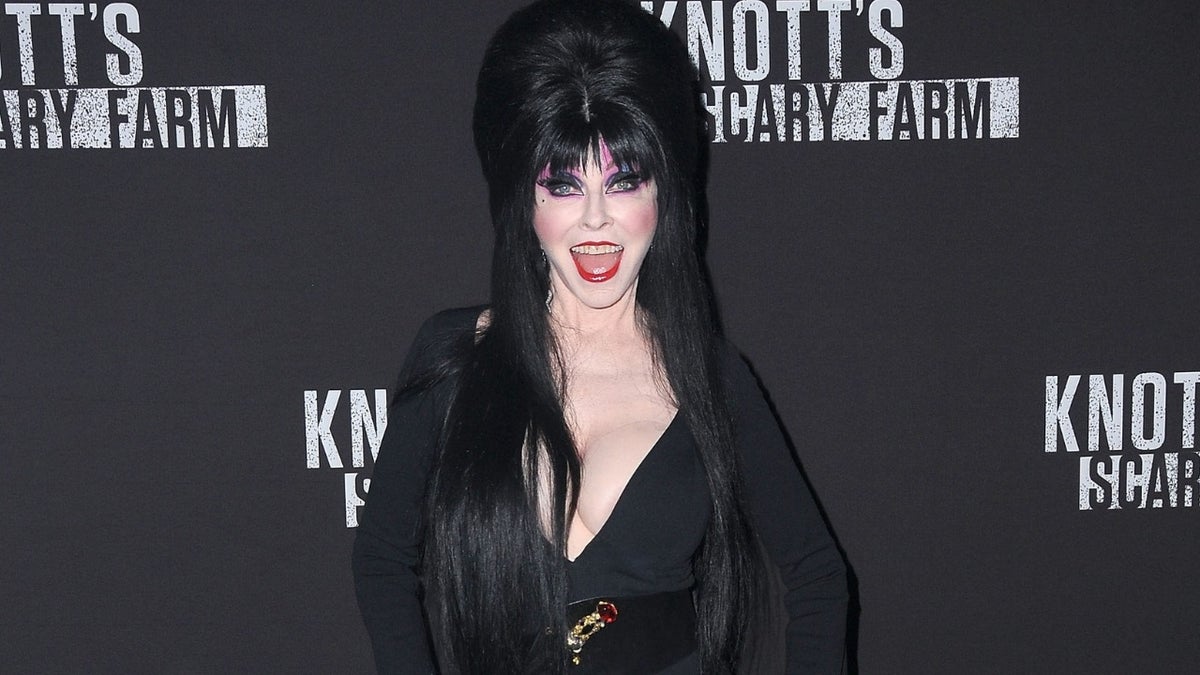 Cassandra Peterson, star in 1988's "Elvira, Mistress of the Dark" urged her fans to get out and vote.
