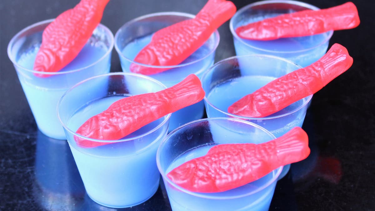fishoutofwater.jpg