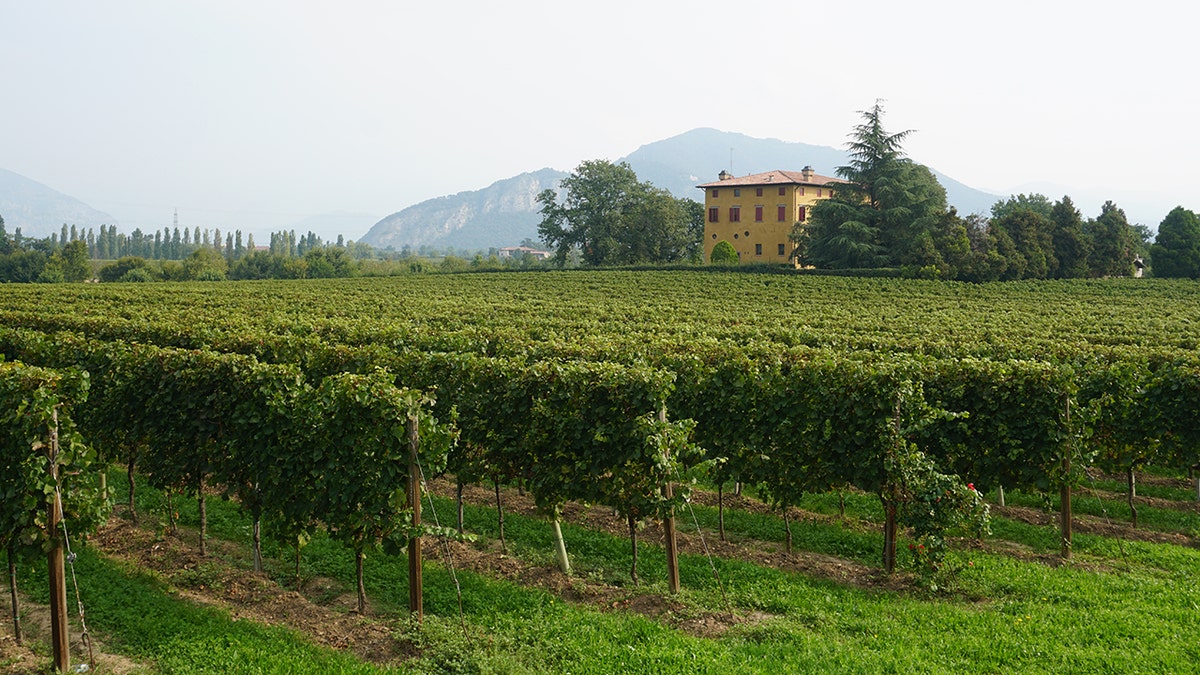 Franciacorta, Italy is the perfect sparkling wine destination.