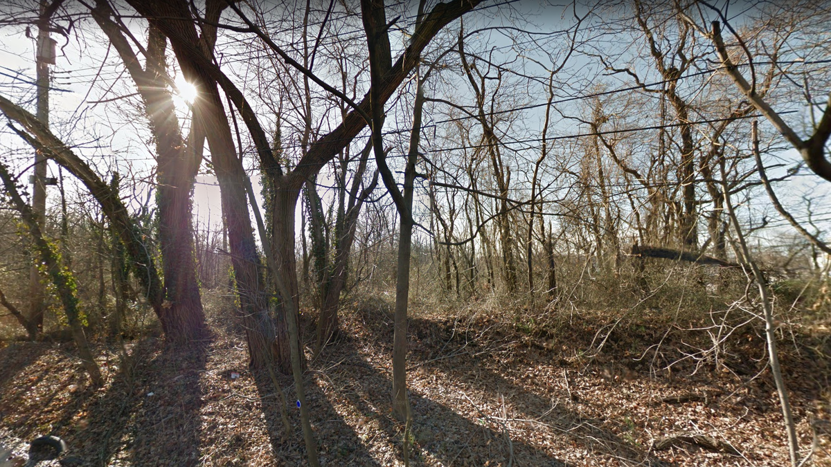 A woman's partially clothed and decomposed body was found in a wooded area on Staten Island on Sunday, police said.