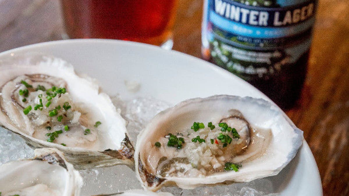 oysterwinterlager.jpg