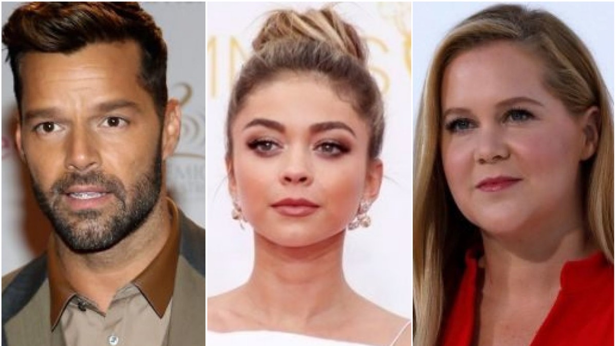 Sarah Hyland Amy Schumer Ricky Martin And Other Stars Who Met Significant Others Online Fox News