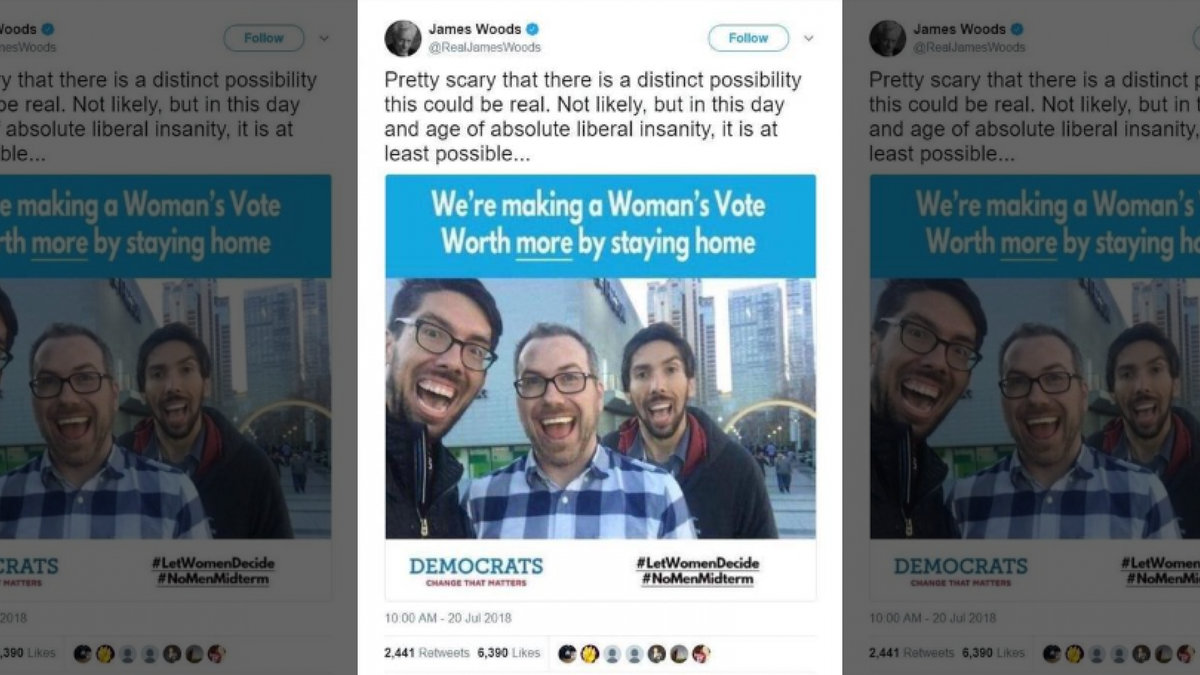 The meme that Woods posted in July said #LetWomenDecide and #NoMenMidterm. Woods acknowledged the tweet was "not likely" real.