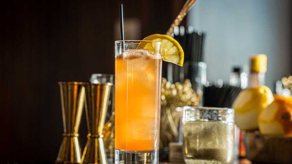 Without Fear_The Roof1.jpg