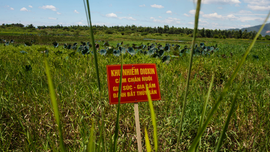 Vietnam, US complete cleanup of toxic chemical from airport