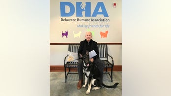 Biden family adopts new pup named Major, Delaware Humane Association says