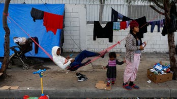 Mexican crime data may undercut migrant caravan asylum claims: 'You don't pick and choose'