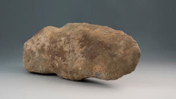 High school students find 6,000-year-old stone ax at Mount Vernon