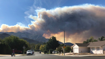 The Latest: Trump official to visit wildfire zones