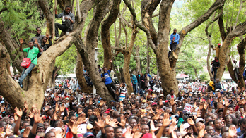 Zimbabweans protest 'cocktail of lies' amid economic decline