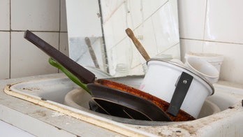 Colorado squatters leave behind underwear, a snake and sex toys