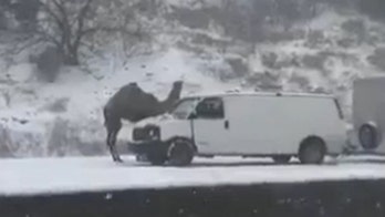 Snowstorm forces students to sleep at schools as angry commuters rip public officials for lack of preparedness