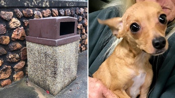 Dog in Georgia found dumped inside trash can near highway, rescue center says
