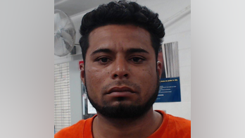 Honduran caravan member hurled rocks at border patrol agents, set tree on fire: CBP