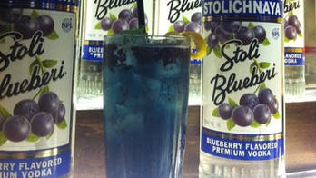 The Blueberri Bounce