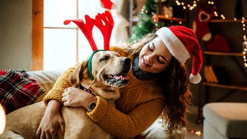 5 pet gifts for the good doggo in your life