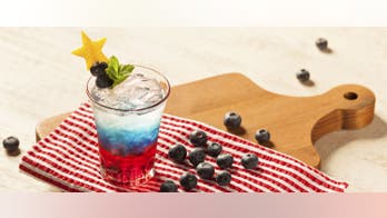 Citrus-Spangled Spritzer