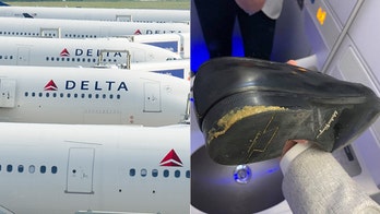Delta apologizes after customer was 'covered' in dog poop from seat