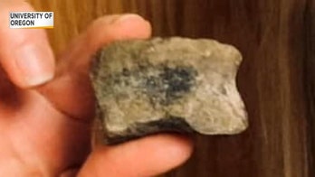 First-ever Oregon dinosaur bone found by scientists