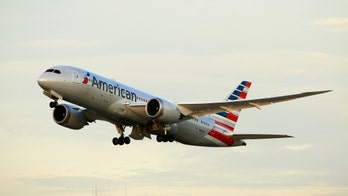 American Airlines grounds 14 Boeing jets to replace overhead bins