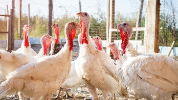 Jennie-O turkey products recalled amid salmonella outbreak