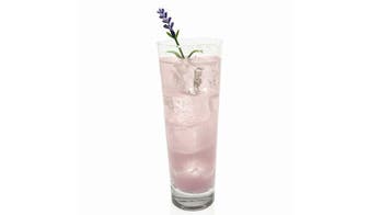 Lavender Paloma