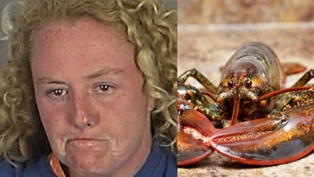 Florida woman busted for stealing live lobster from Red Lobster