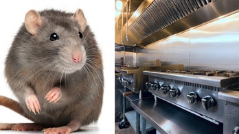 Burger restaurant closed after viral video shows employees cooking rat on grill