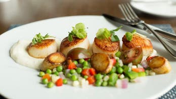 Sanderling Scallops