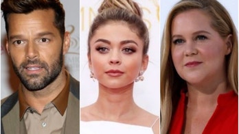 Sarah Hyland, Amy Schumer, Ricky Martin and other stars who met significant others online