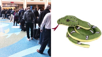 Little boy 'heartbroken' because airport allegedly wouldn't let him take stuffed snake on plane