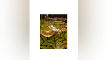 Sparkling Candy Apple cocktail