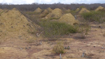 Massive 4,000-year-old termite mounds can be seen from space