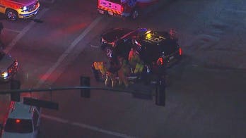 Las Vegas shooting survivors were inside Thousand Oaks bar, friends say